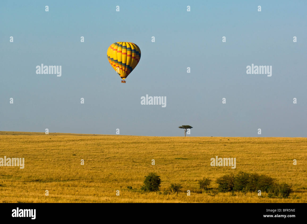 Les vols en montgolfière sur les plaines herbeuses de Maasai Mara Réserver Banque D'Images