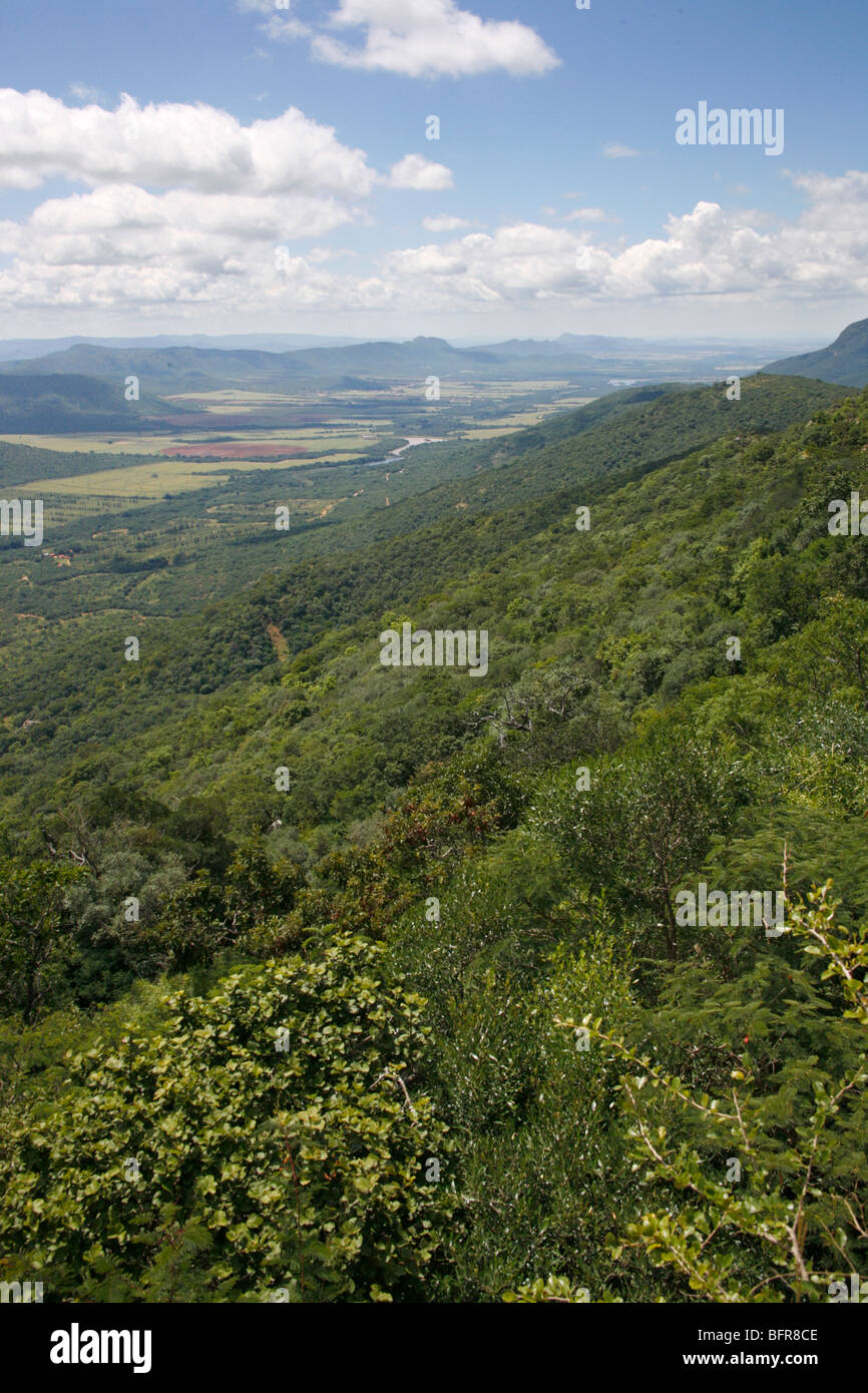 Vue panoramique sur la vallée de Mooketsi Banque D'Images