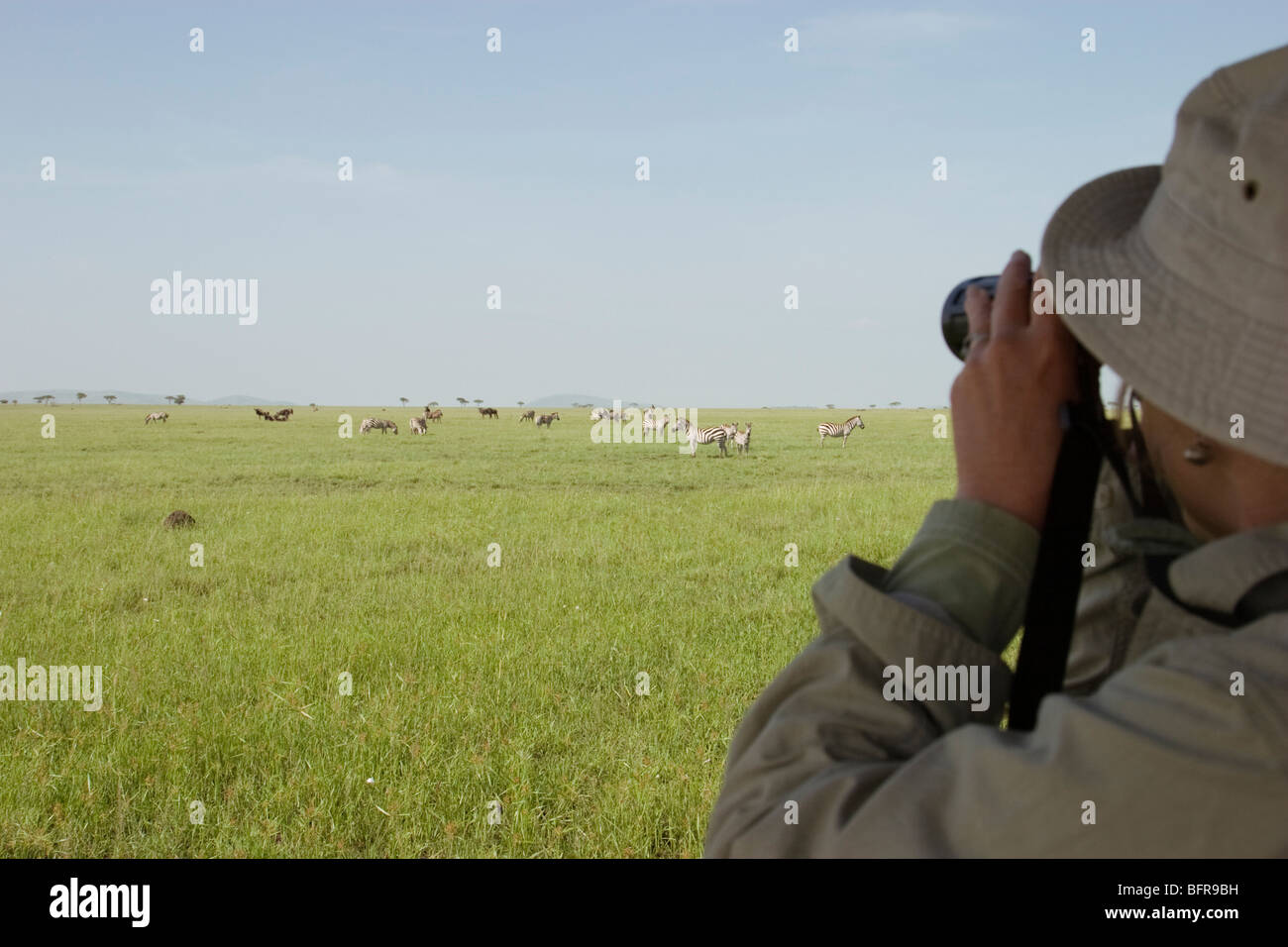 Touriste à la recherche sur les animaux sur les plaines du Serengeti Banque D'Images