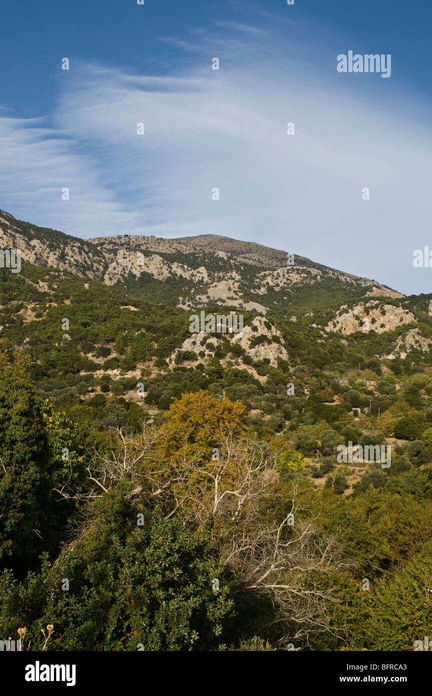 Dh Kato Simi VIANNOS Crète Grèce arbres montagnes vallée et montagne Banque D'Images