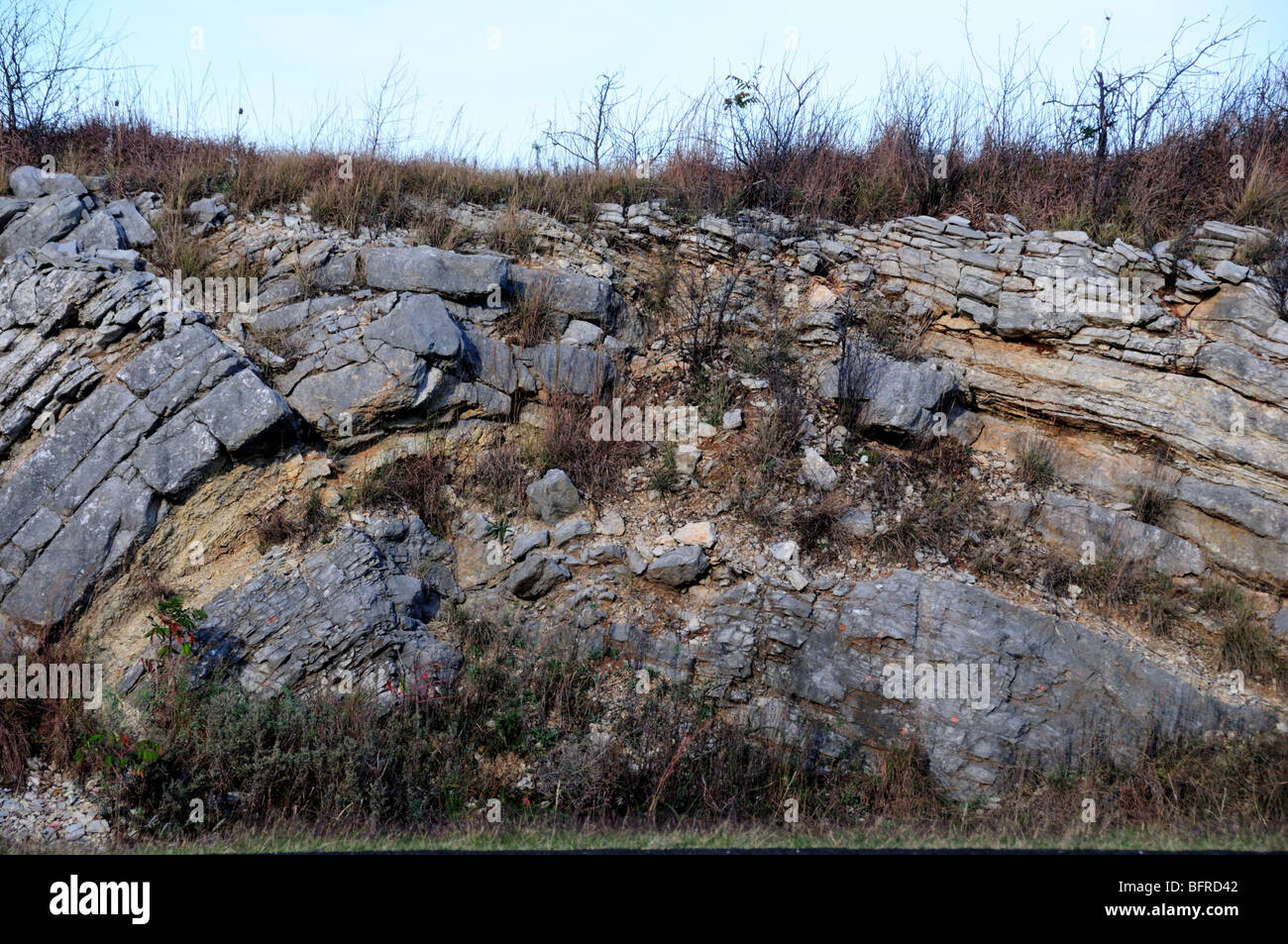 Un petit côté route anticlinal. New York, USA. Banque D'Images