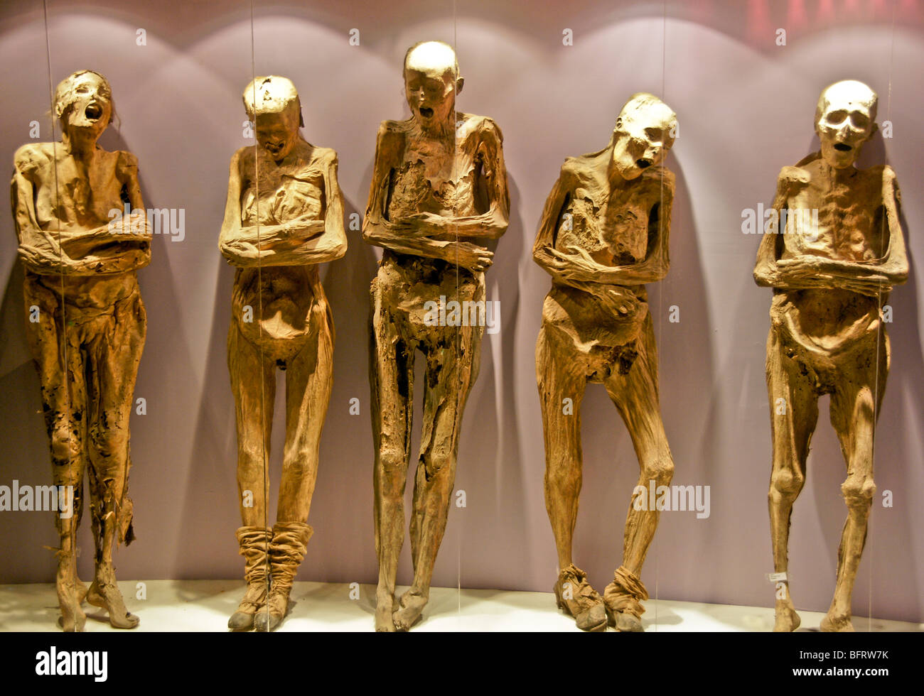 Guanajuato's Museo de las Momias avec corps momifiés dans vitrines Banque D'Images