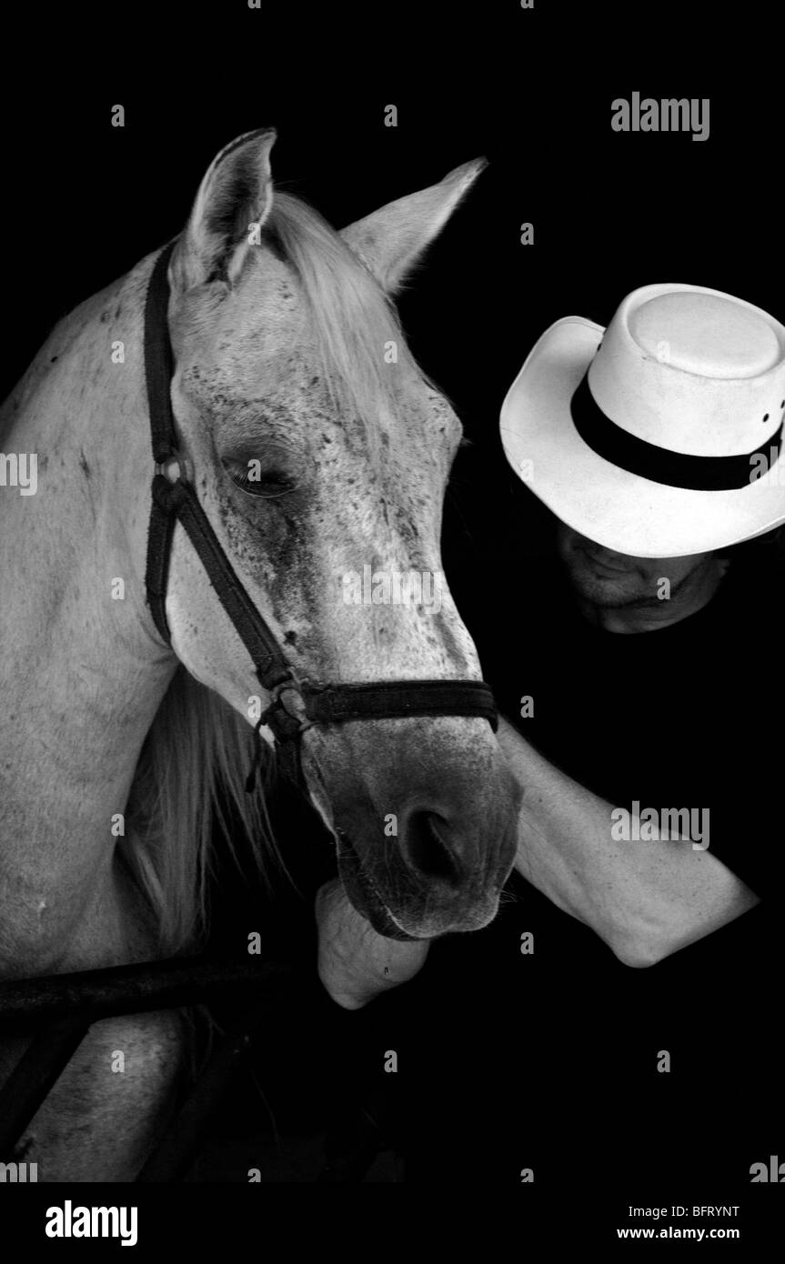 Aruba, Horse Ranch Banque D'Images
