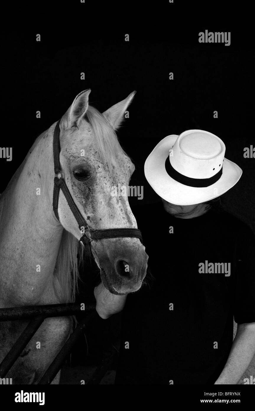 Aruba, Horse Ranch Banque D'Images