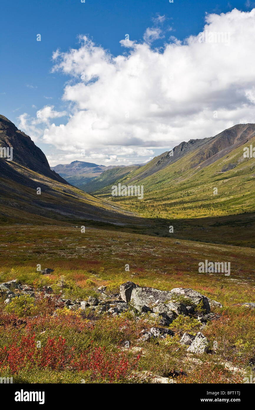 La vallée de la rivière de Tombstone, le parc territorial Tombstone