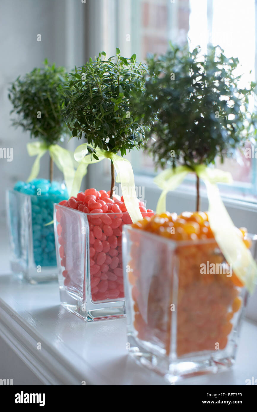 Jelly Bean Trees Banque D'Images