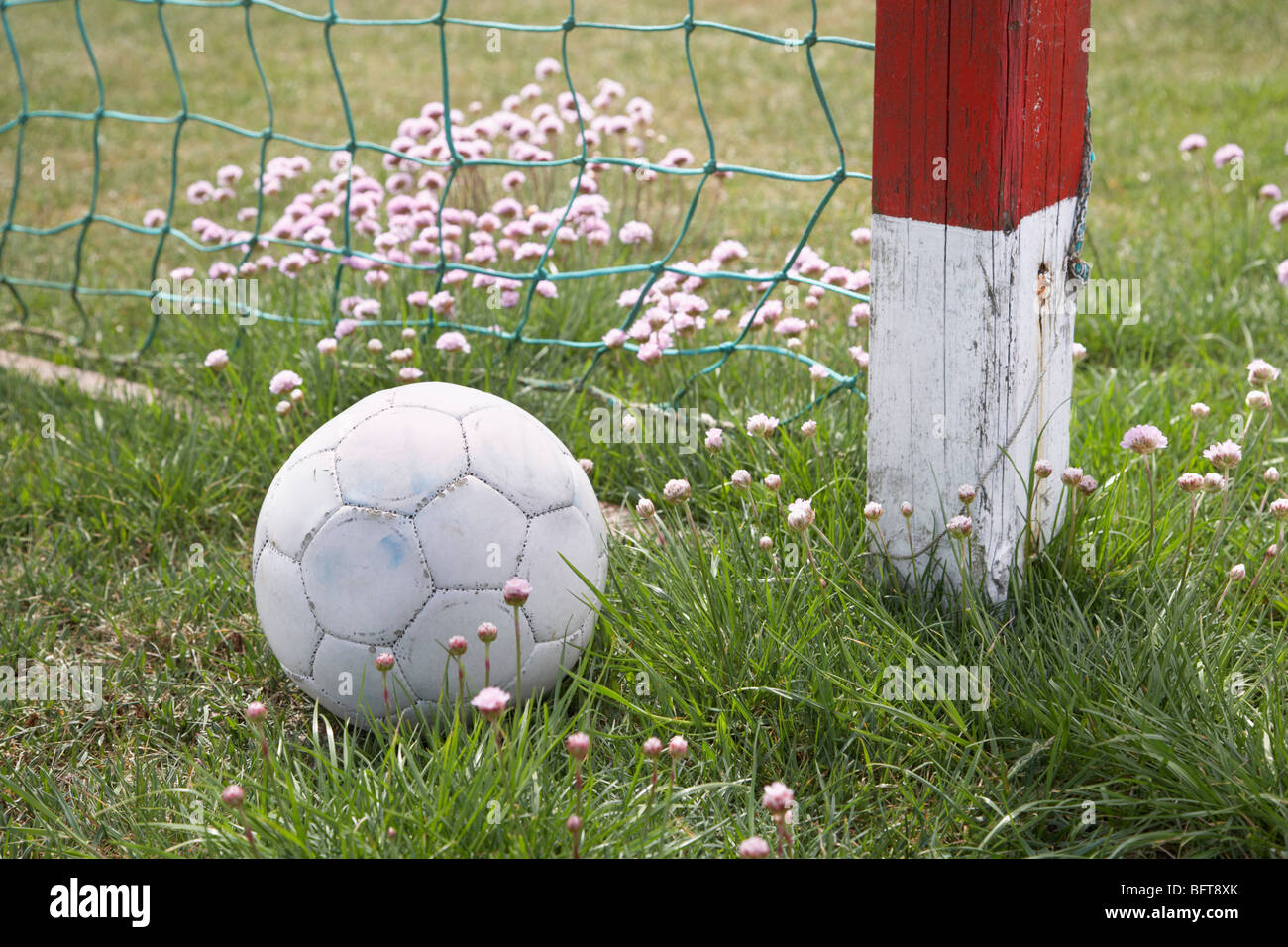 Ballon de soccer par Net Banque D'Images