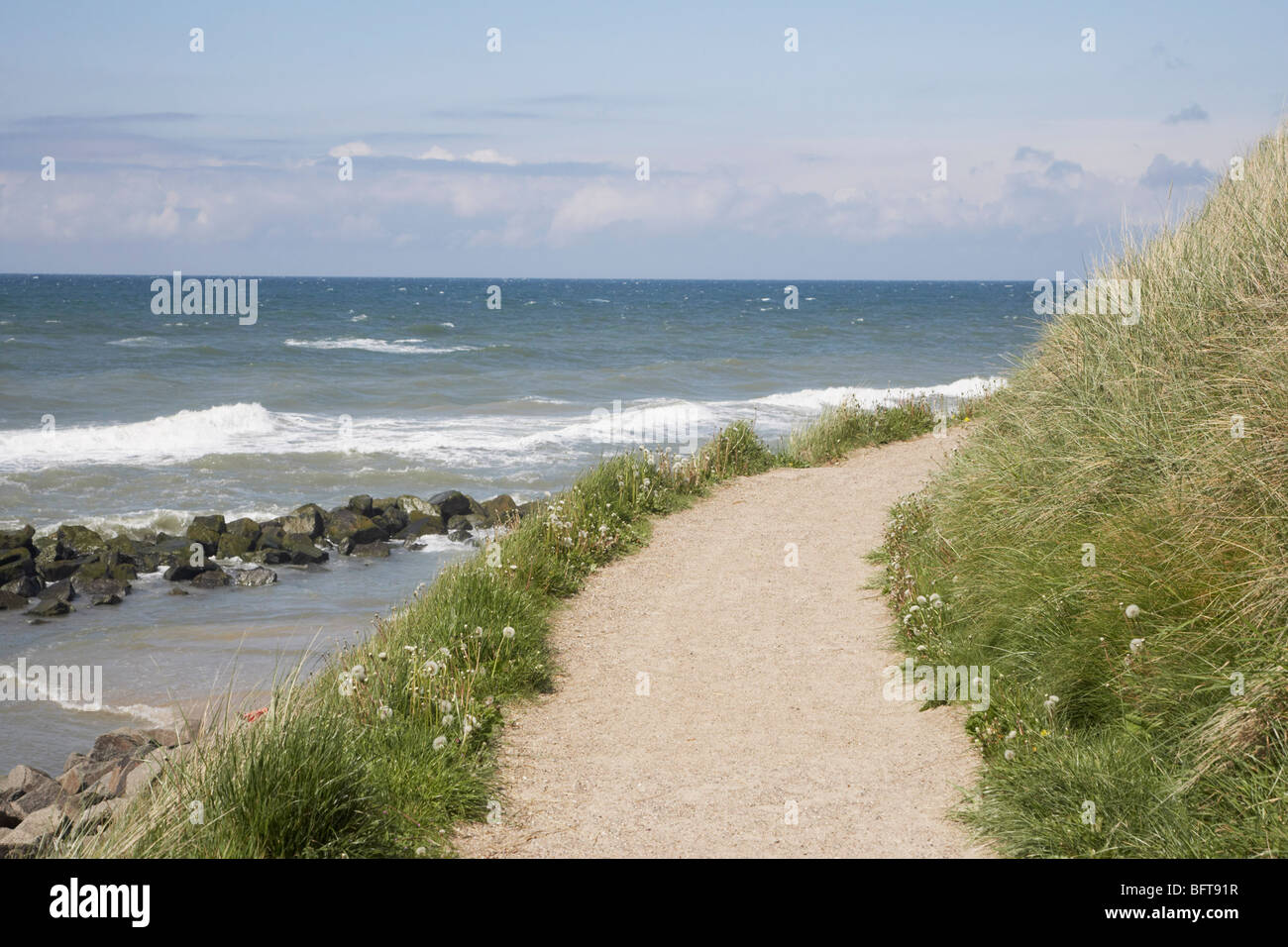 Chemin le long de la côte, mer du Nord, Danemark, Jylland, Loenstrup Banque D'Images