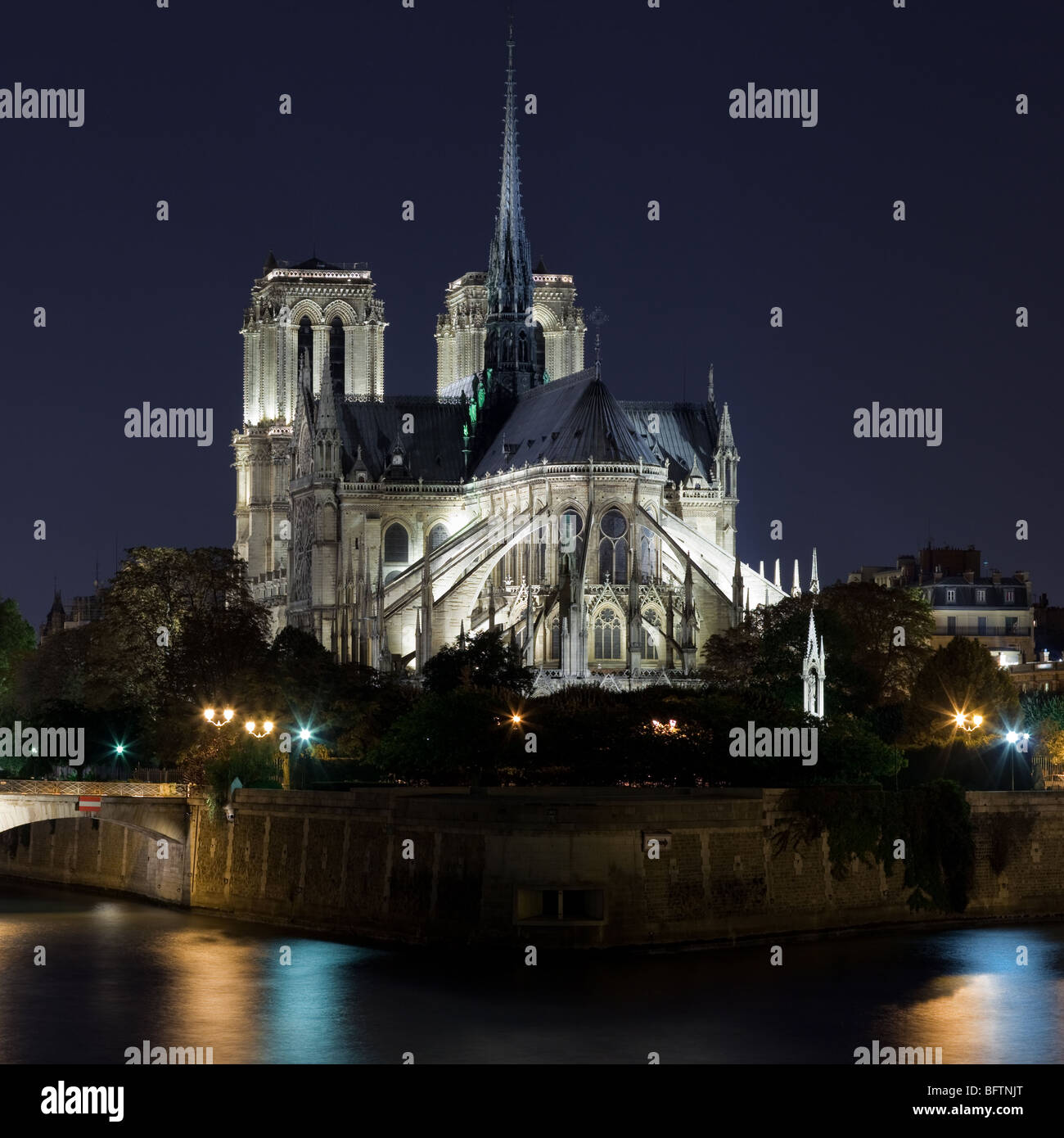 Cathédrale Notre Dame de Paris la nuit. Banque D'Images