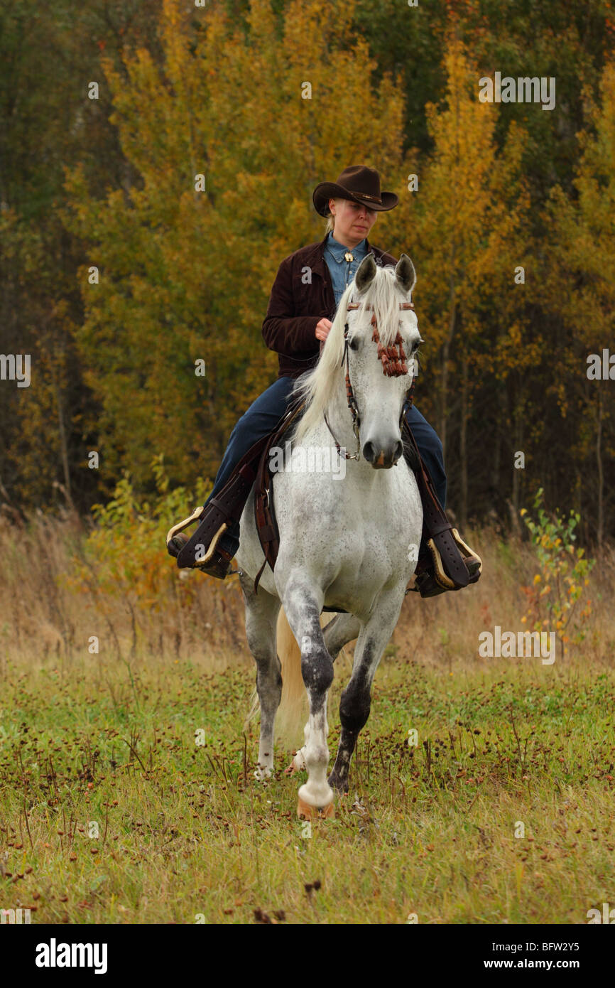 Trente-et-un ans blonde woman wearing a cowboy hat ride le cheval blanc Banque D'Images