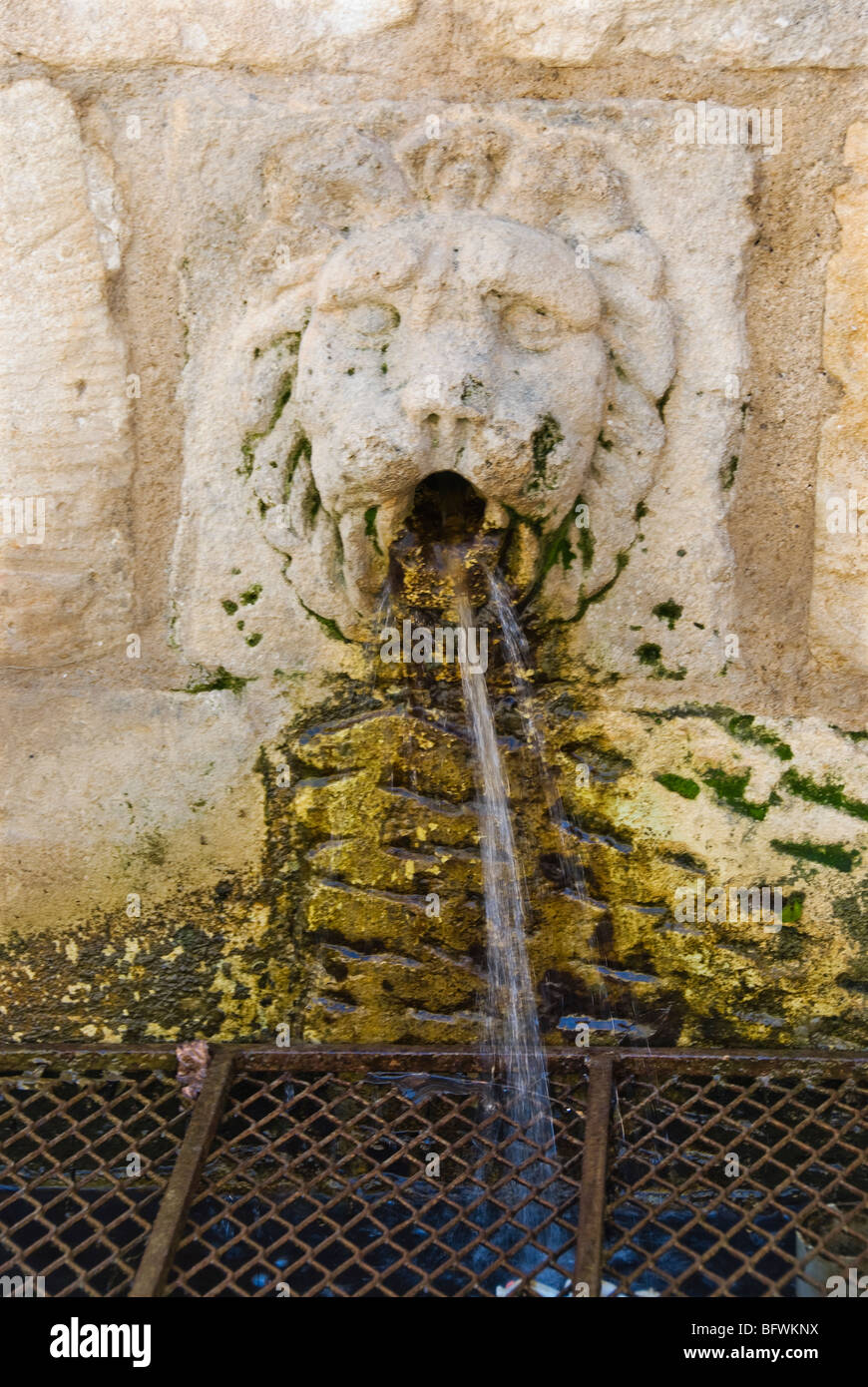 Fontaine avec tête de lion. Banque D'Images