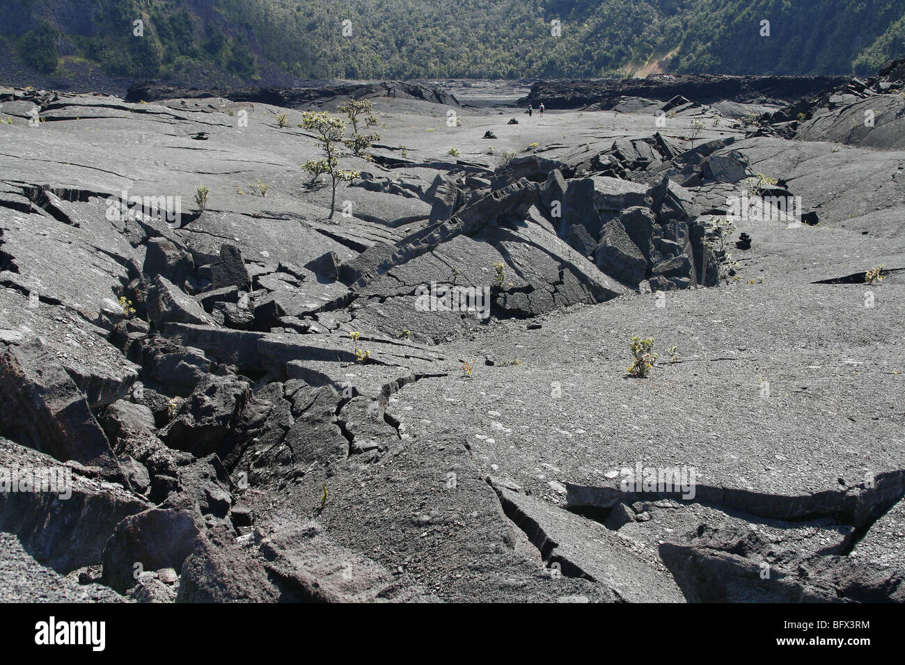 Le Kilauea Iki cratère, croûte fracturée causé comme drainés de lave Banque D'Images