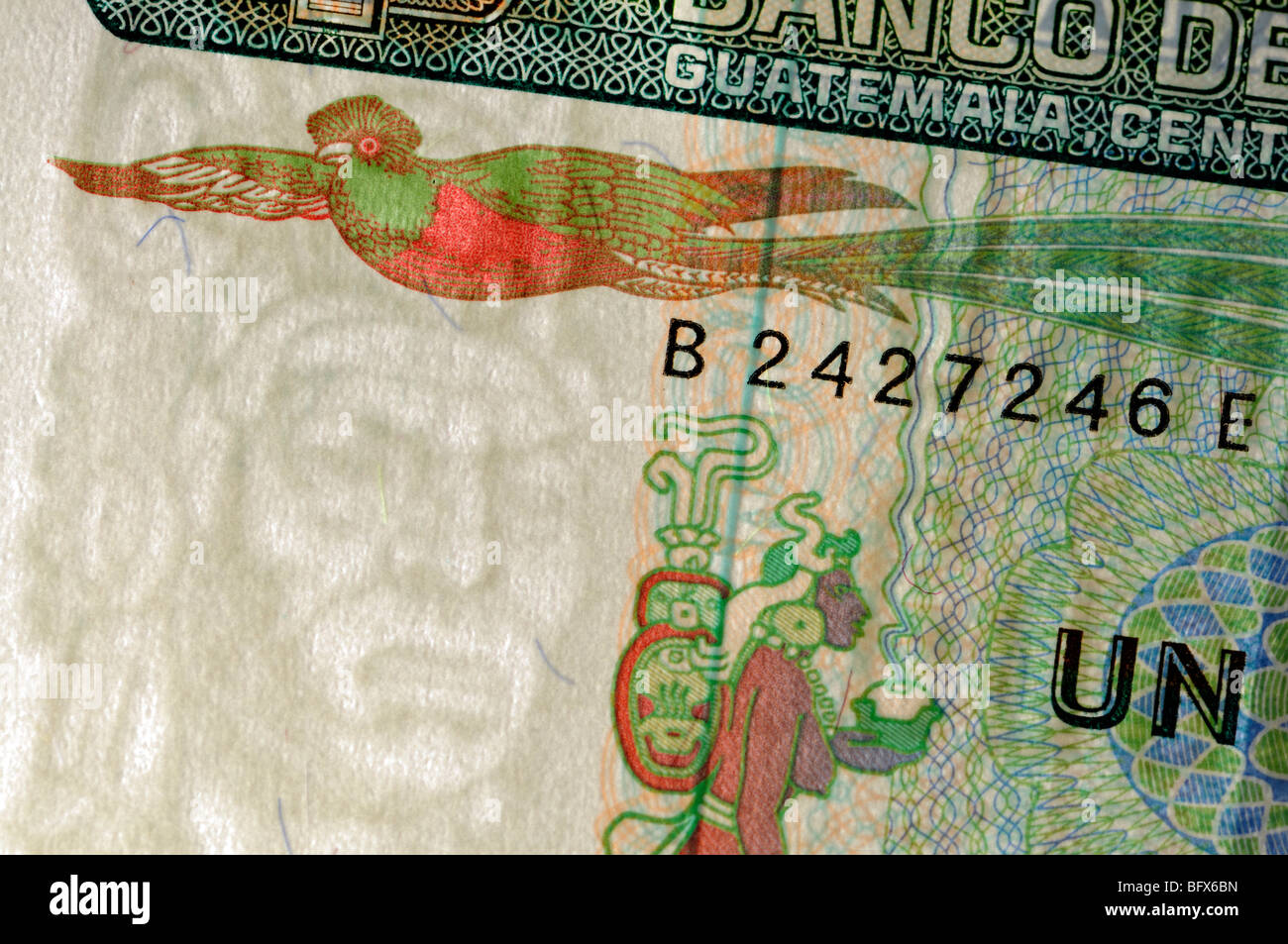 Filigrane dans Guatemala billet de 1 Quetzal de 1986 Banque D'Images