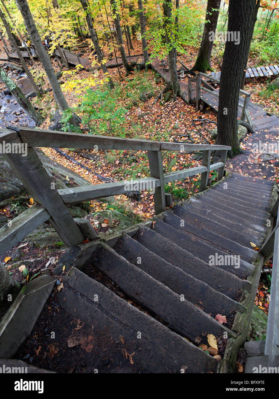 Un sentier dans la forêt, le Parc National du Mont-Tremblant, Québec, Canada Banque D'Images