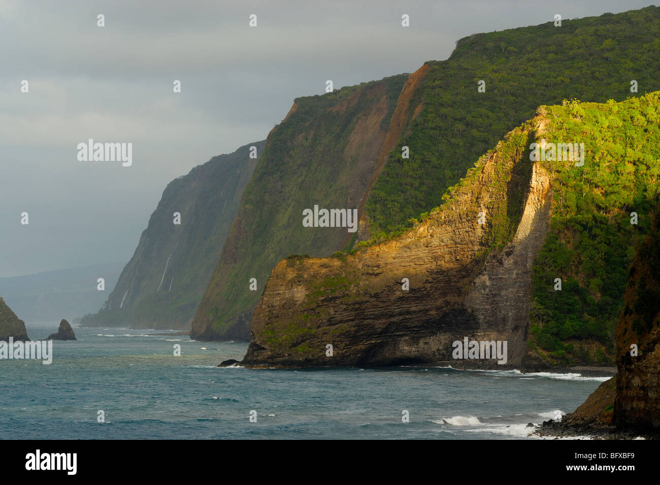 La Vallée de Pololu, North Kohala Coast, La Grande Île d'Hawaï Banque D'Images