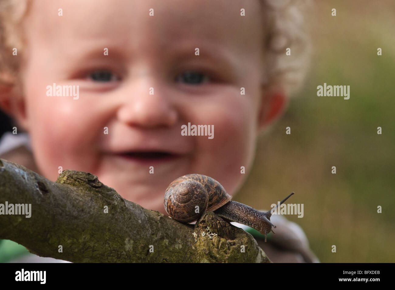 Bébé garçon regardant son premier jardin escargot, Cambridgeshire, Angleterre Banque D'Images