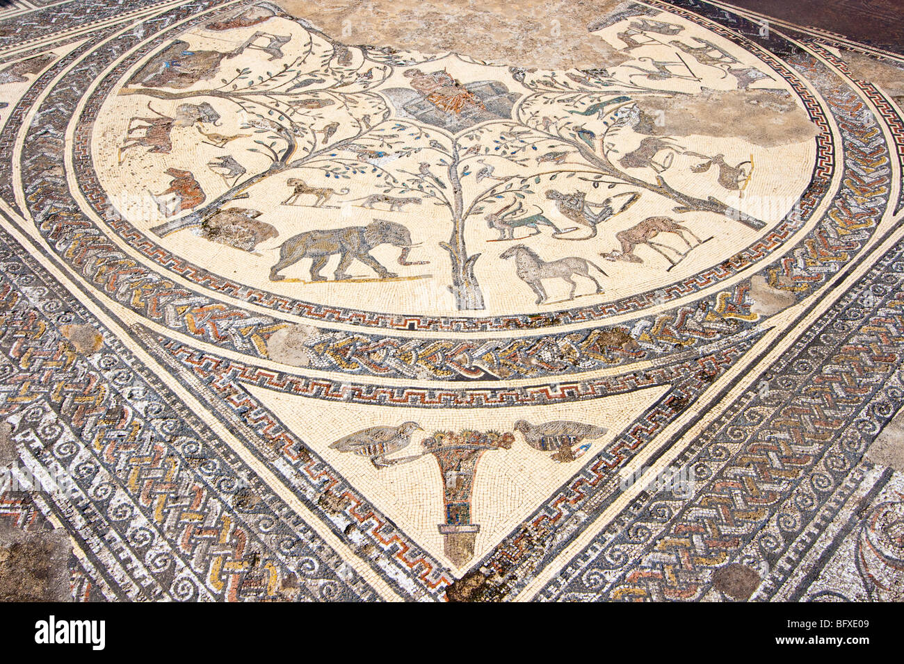 La mosaïque d'Orphée à la maison d'Orphée dans les ruines romaines de Volubilis Maroc Banque D'Images
