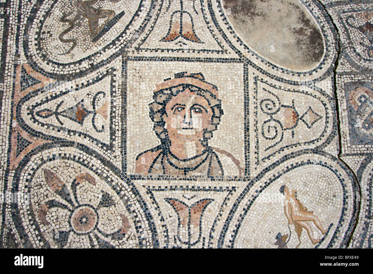 Douze Travaux d'Hercule mosaïque dans les ruines romaines de Volubilis Maroc Banque D'Images