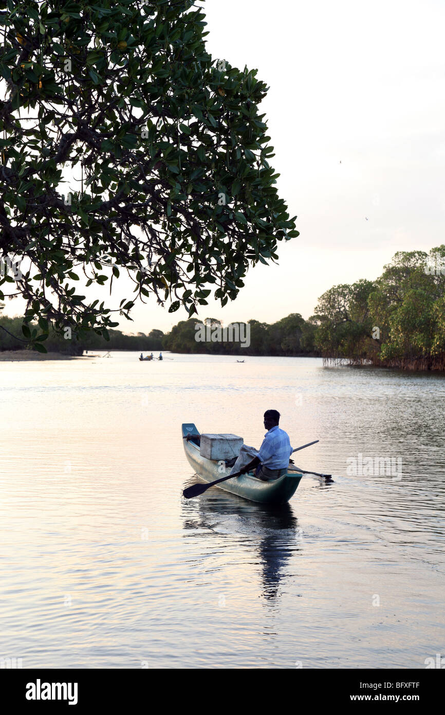 Un pêcheur dans le lagon. Pottuvil. Le Sri Lanka. Banque D'Images