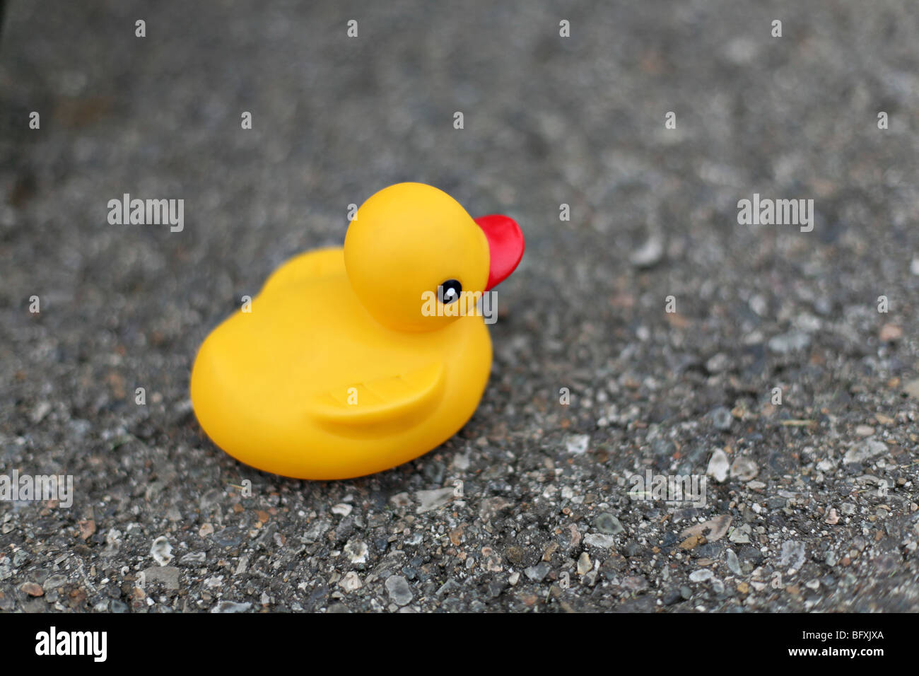 Canard en caoutchouc jaune assis sur le trottoir. Banque D'Images