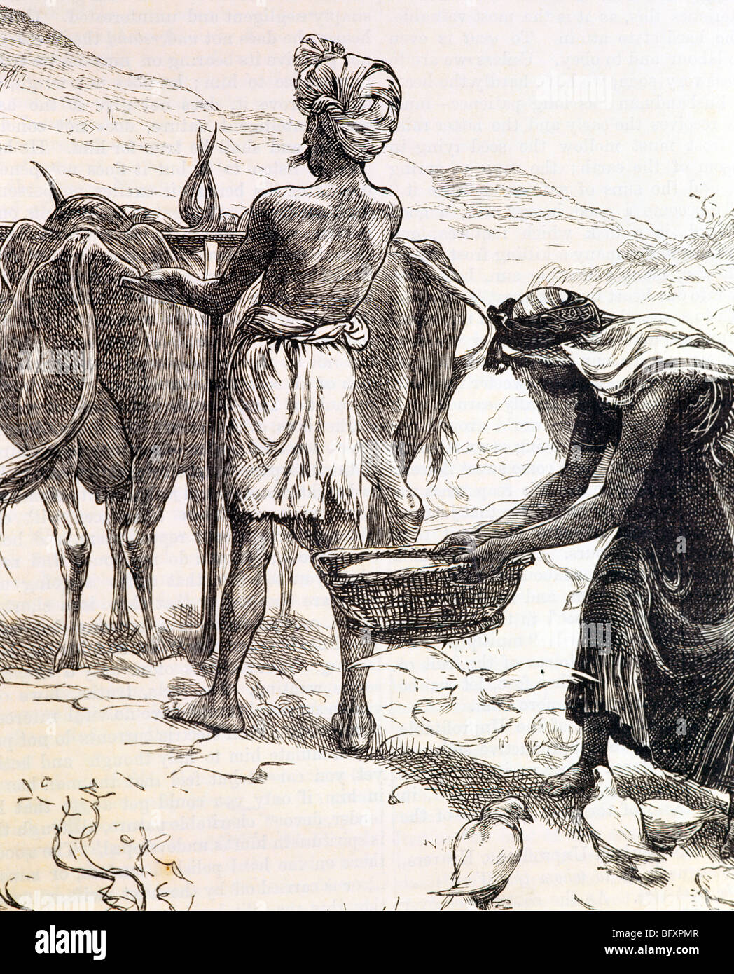 La Parabole du Semeur Banque D'Images