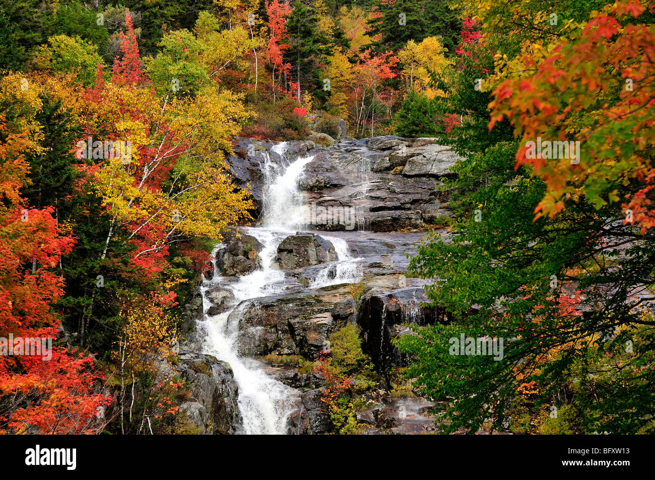 Une belle cascade du nom de la cascade d'argent à New Hampshire est mis en valeur par le feuillage de l'automne brillant. USA. Banque D'Images