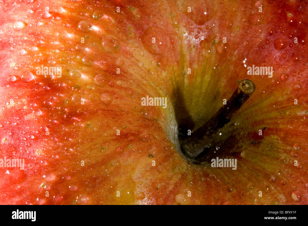 Close-up d'une pomme mûre Banque D'Images