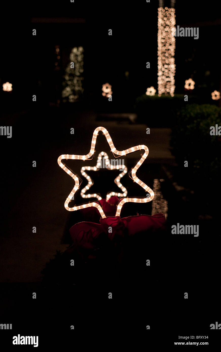 L'étoile de Noël illuminé lumières dans un jardin la nuit Banque D'Images