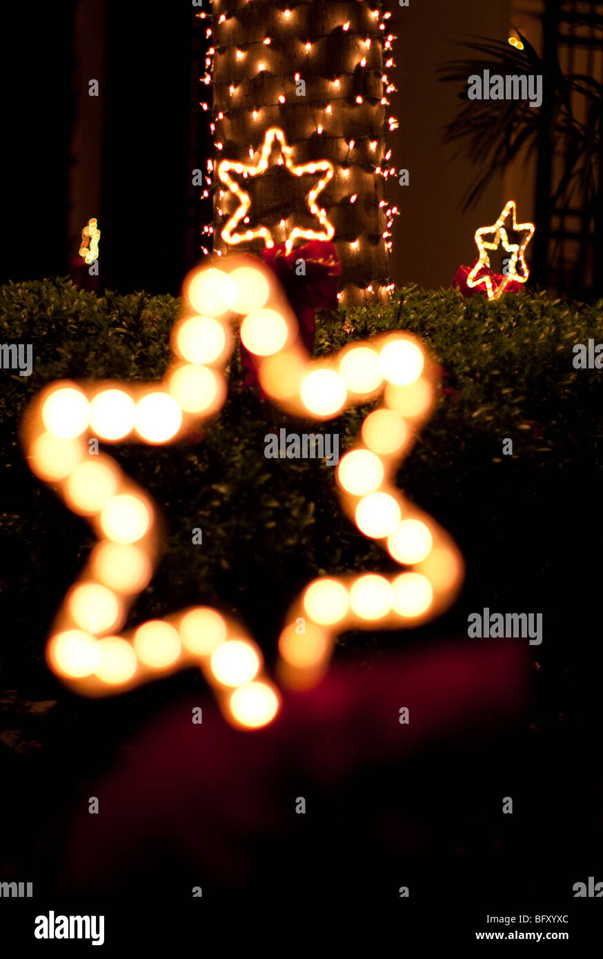 L'étoile de Noël illuminé-lumières dans un jardin la nuit Banque D'Images