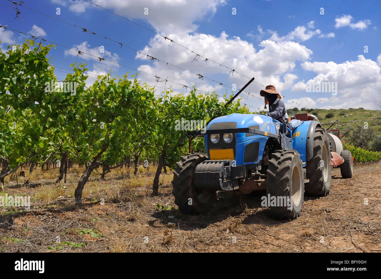Israël, région du Néguev, Lakis, vignoble, un tracteur tire un réservoir de pesticide Banque D'Images