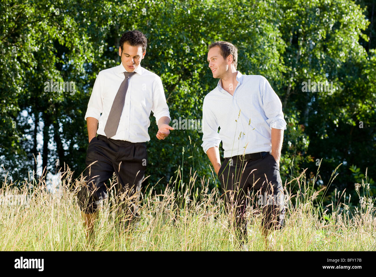 Deux businessmen talking in field Banque D'Images Deux businessmen talking in field Banque D'Images