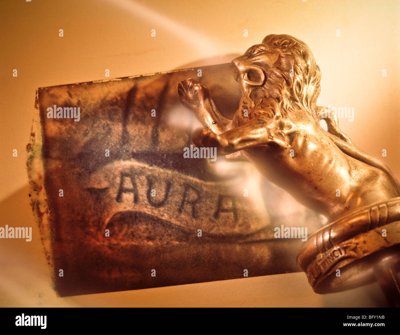 Ornement de capot de l'automobile Banque D'Images