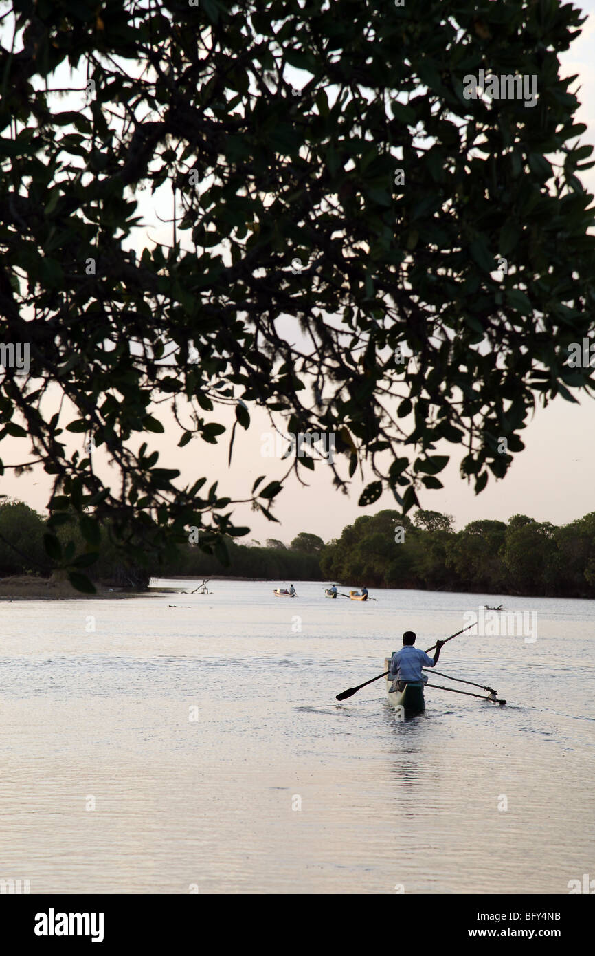 Un pêcheur dans le lagon. Pottuvil. Le Sri Lanka. Banque D'Images