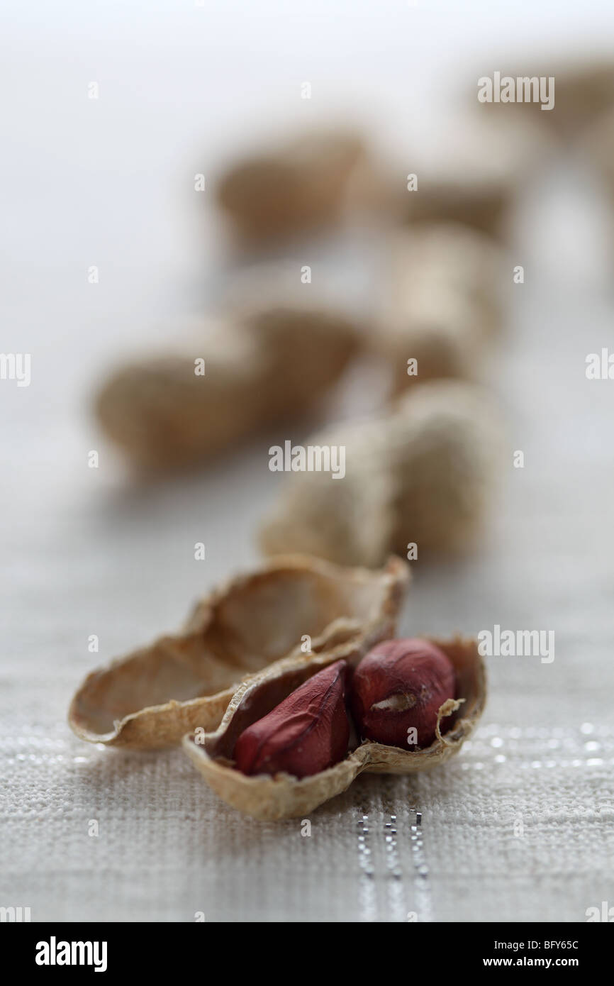 Noix décortiquées arachides singe Arachis hypogaea shell skinny rouge rôti manger boire la cuisine saine végétarienne légumes sélective soft focus Banque D'Images