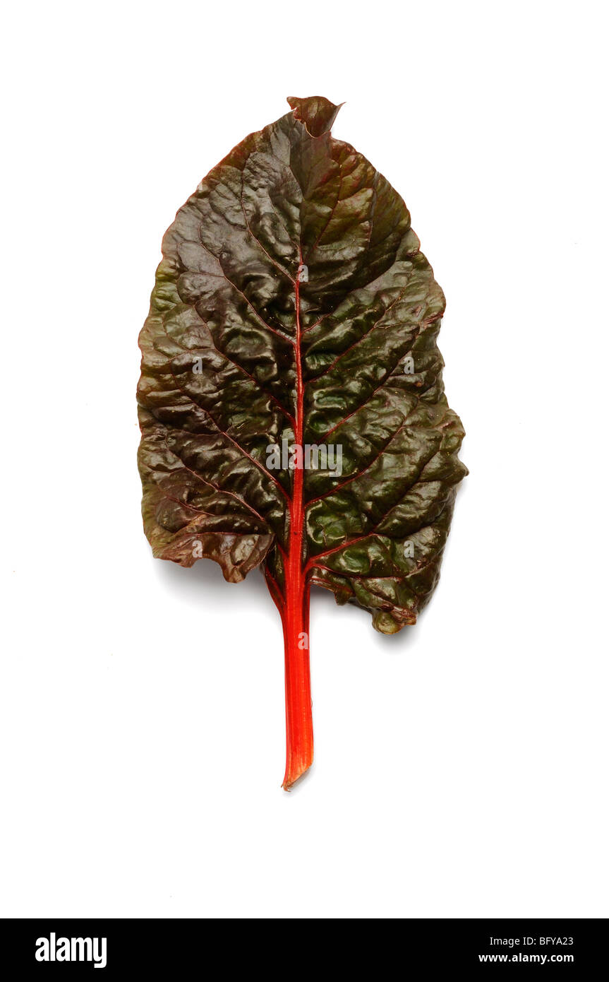 Bette a carde Banque de photographies et d’images à haute résolution ...