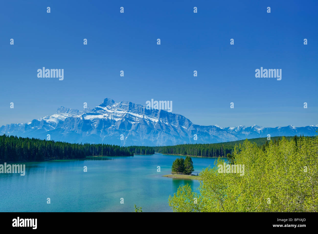 Feuillage de printemps, deux Jack et Mt. Rundle, Banff National Park, Alberta, Canada Banque D'Images