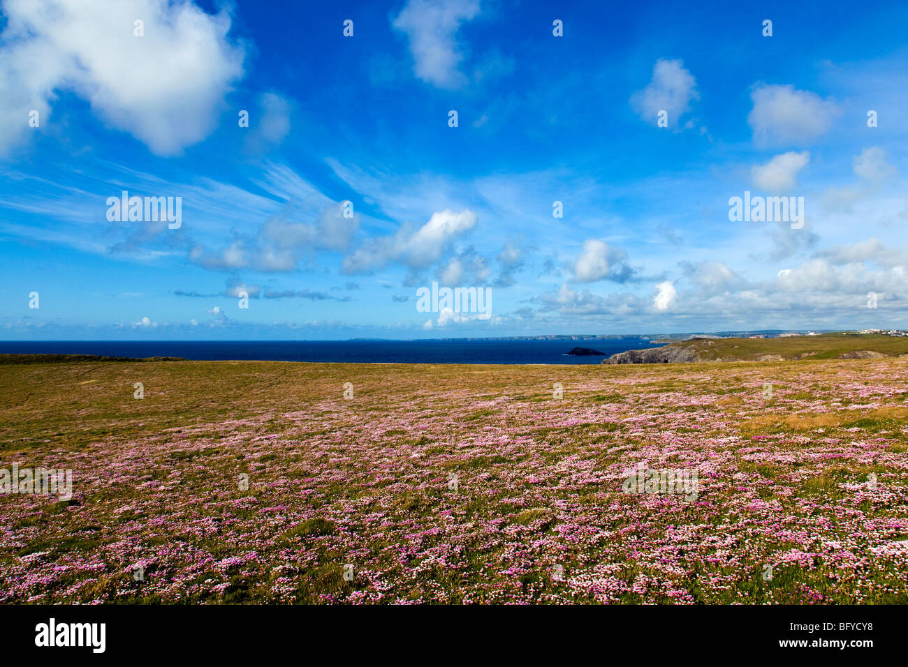 L'épargne à Kelseys ; entre St Asaph et Polly Joke ; Cornwall, l'été Banque D'Images