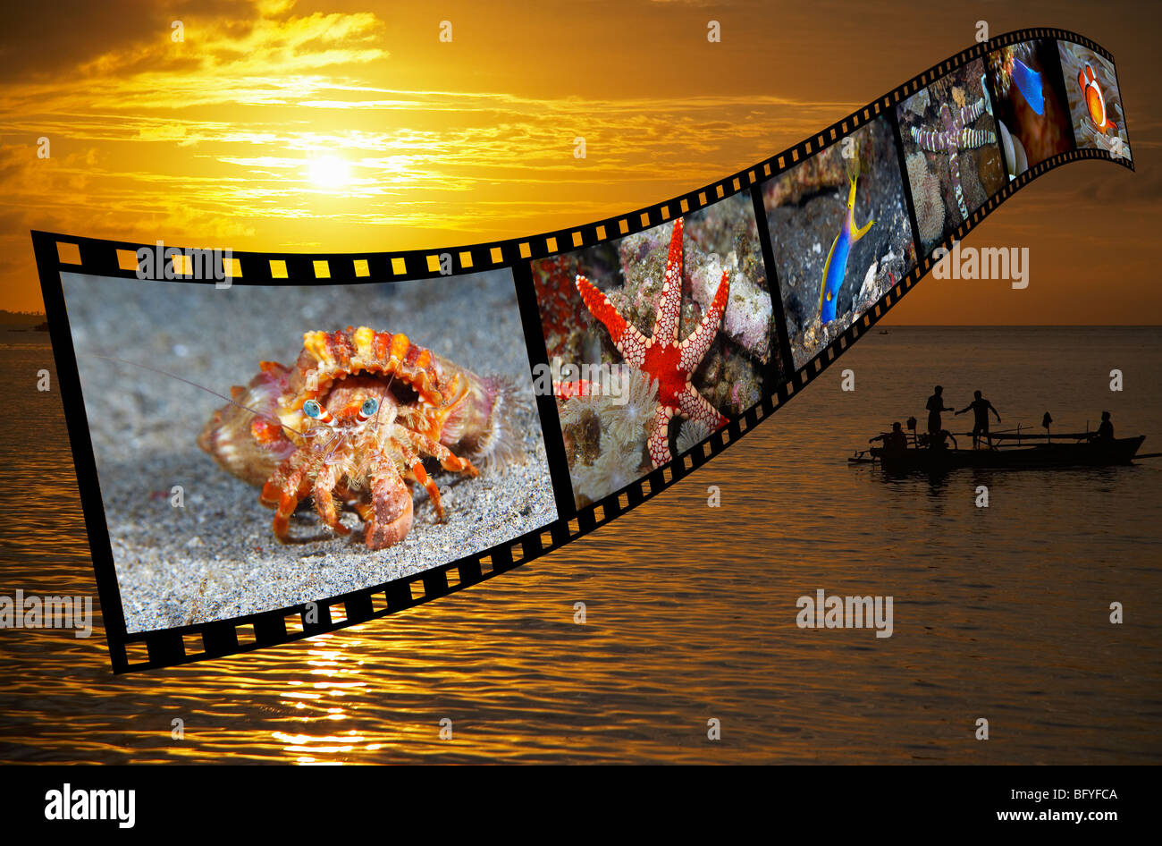 Les pêcheurs au coucher du soleil dans le nord de Sulawesi, Indonésie avec une bande de film de créatures marines tropicales superposée sur l'image. Banque D'Images