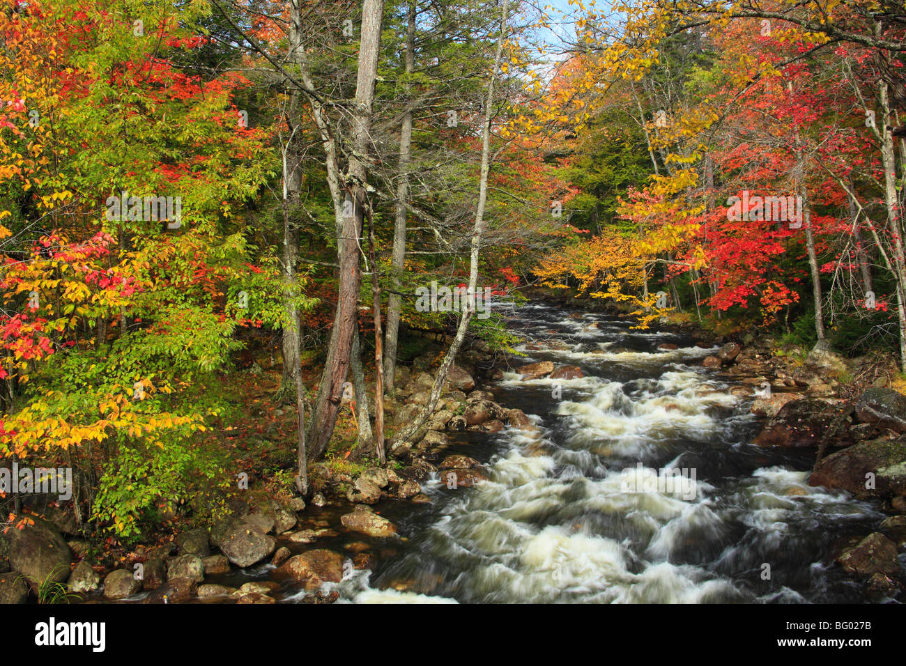 Branche Nord de la rivière Moose, Big Moose, Adirondacks, New York Banque D'Images Branche Nord de la rivière Moose, Big Moose, Adirondacks, New York Banque D'Images