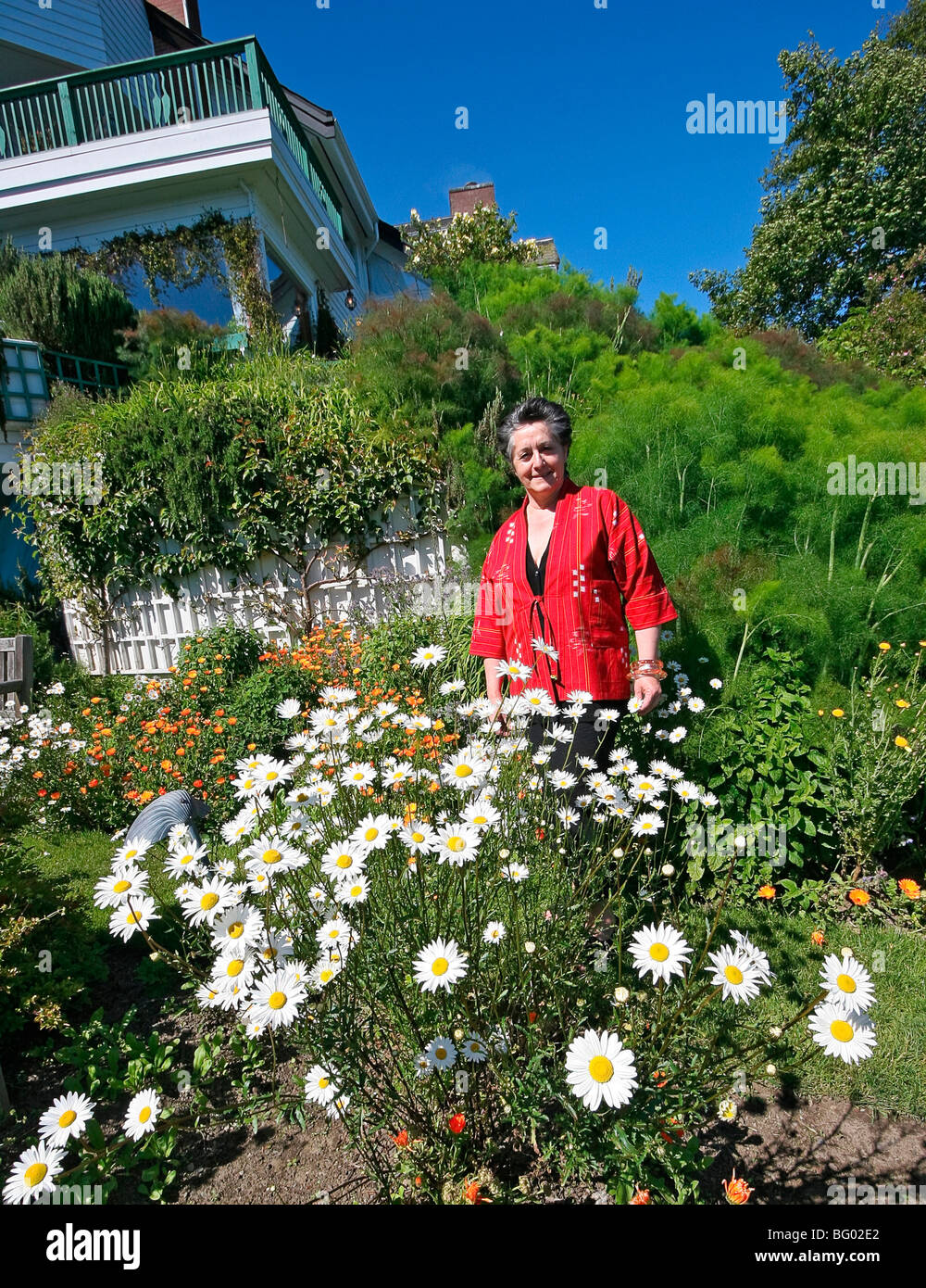 Frederique Philip, co propriétaire de Sooke Harbour House, un établissement de luxe sur l'île de Vancouver. Ici il est entouré de marguerites. Banque D'Images