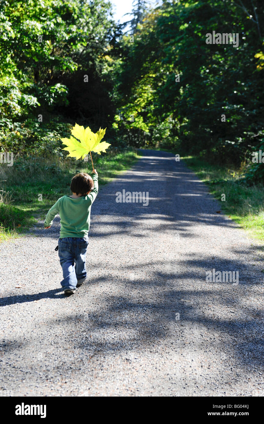 Un deux-année-vieux garçon joue avec les feuilles tombées sur le sentier Galloping Goose, à Victoria, en Colombie-Britannique. Banque D'Images