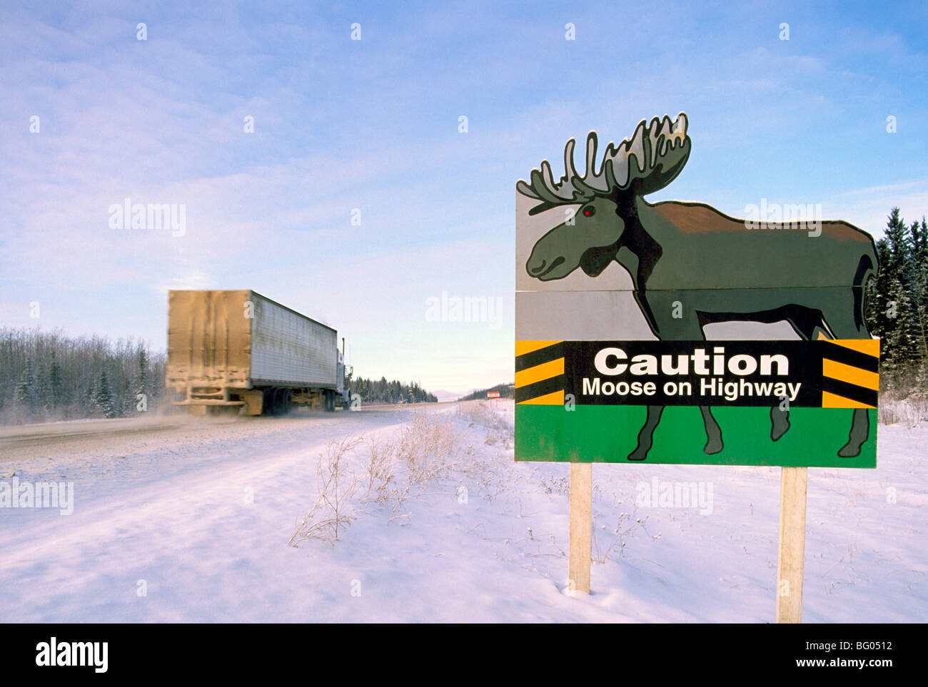 Route de l'Alaska, les Rocheuses du Nord, C.-B., en Colombie-Britannique, Canada - Avertissement Attention panneau routier de Moose Animal Crossing, Hiver Banque D'Images