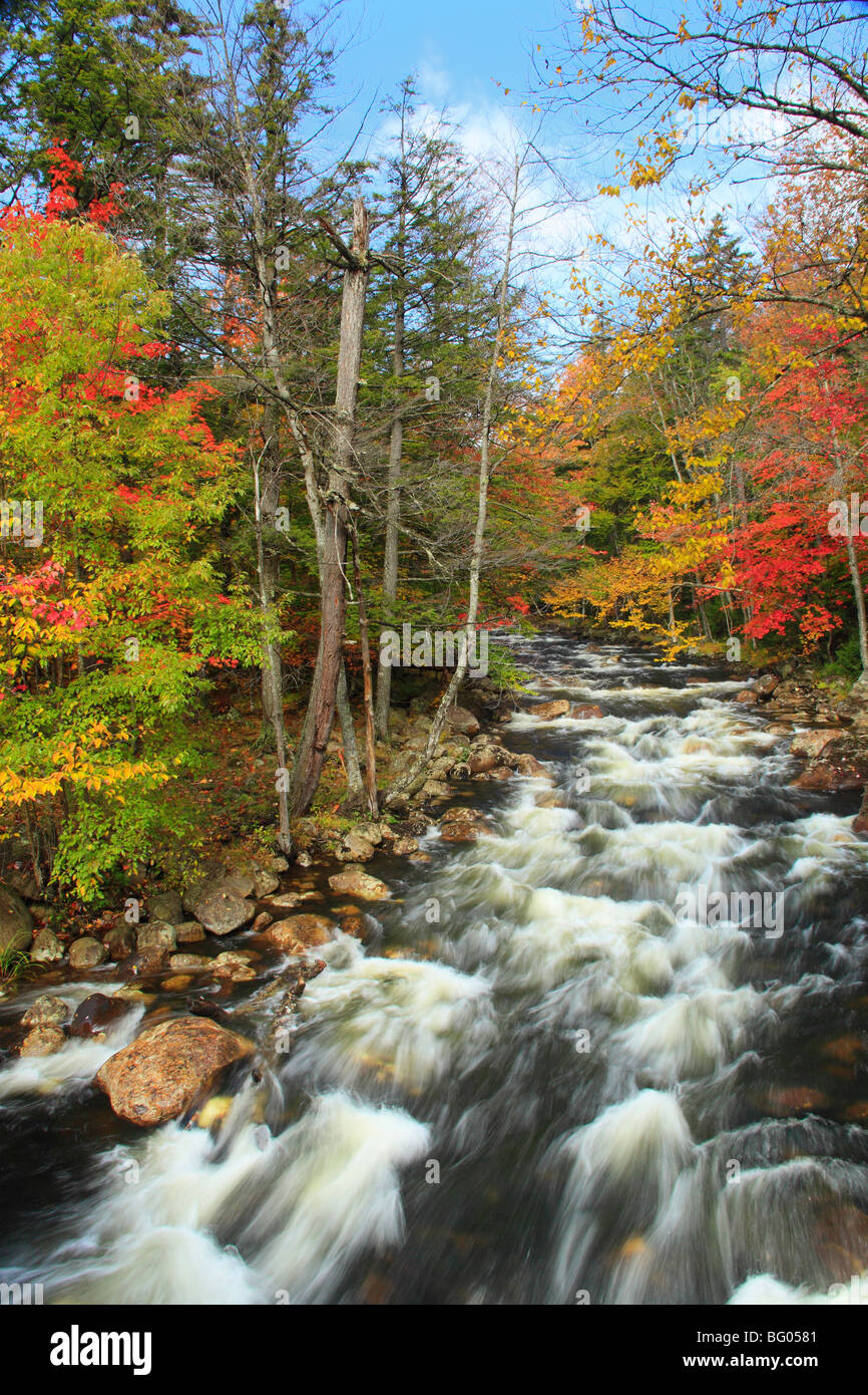 Branche Nord de la rivière Moose, Big Moose, Adirondacks, New York Banque D'Images Branche Nord de la rivière Moose, Big Moose, Adirondacks, New York Banque D'Images