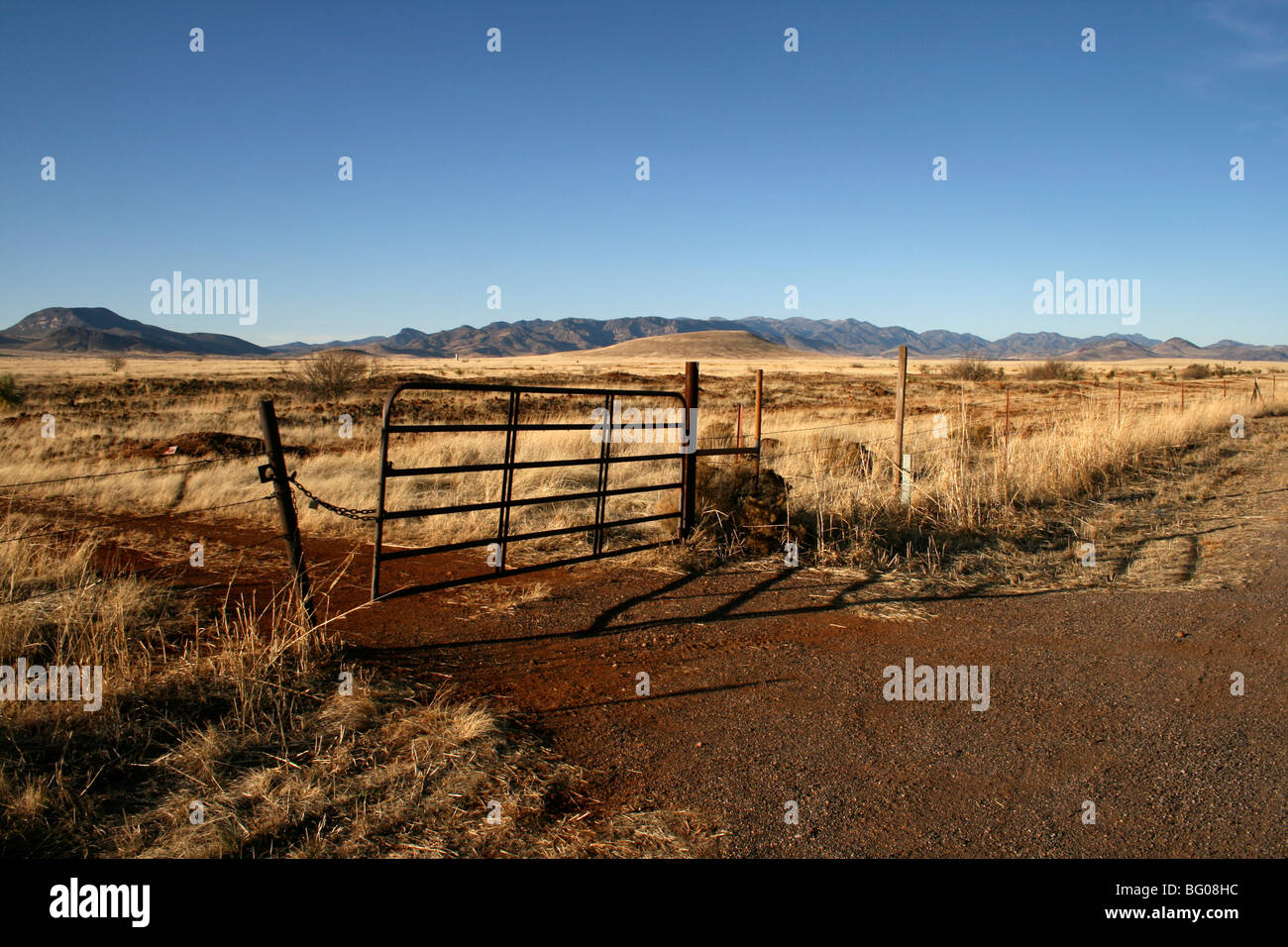 L'Arizona du sud près de la frontière mexicaine, États-Unis d'Amérique, Amérique du Nord Banque D'Images