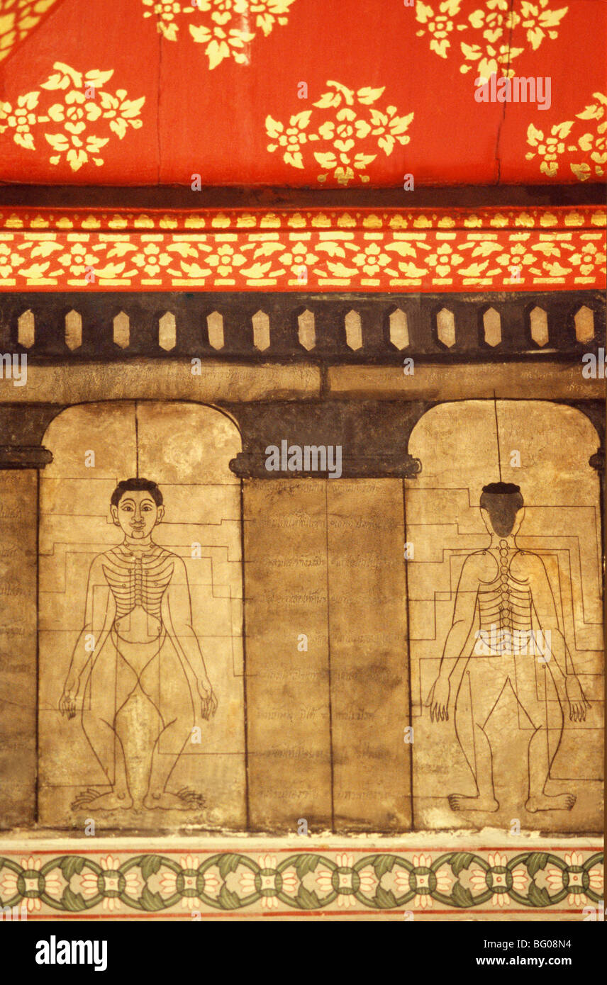 Points d'acupression sur une fresque au Wat Po, Bangkok, Thaïlande, Asie du Sud-Est, Asie Banque D'Images