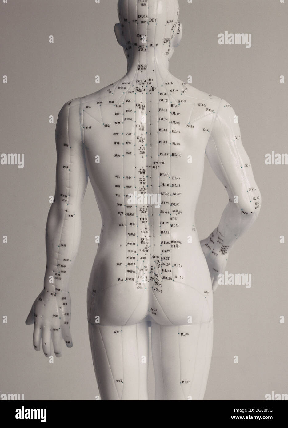 Les points d'acupuncture, la médecine chinoise Banque D'Images