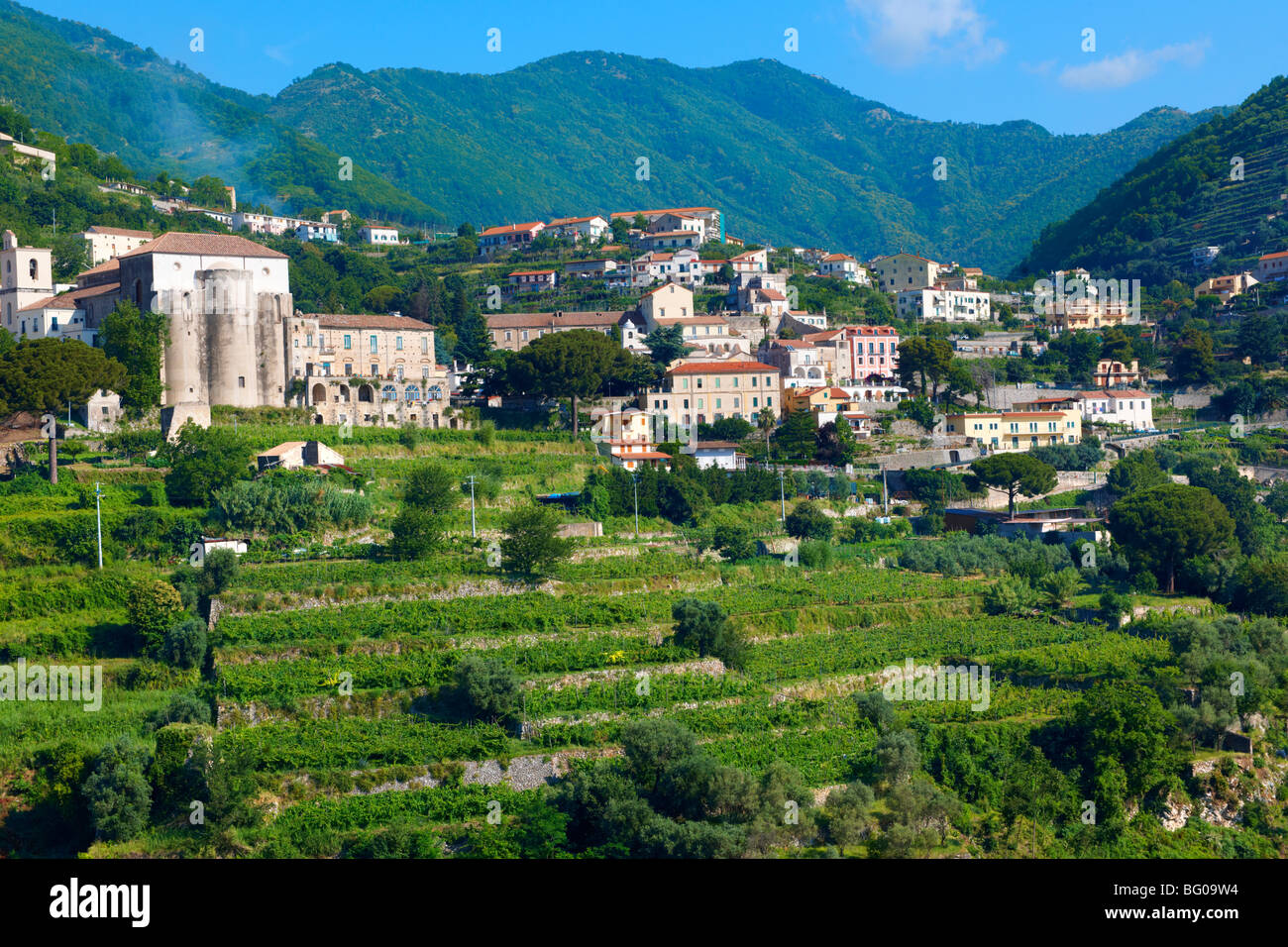 Vignes près de Ravello. Côte Amalf, Italie Banque D'Images