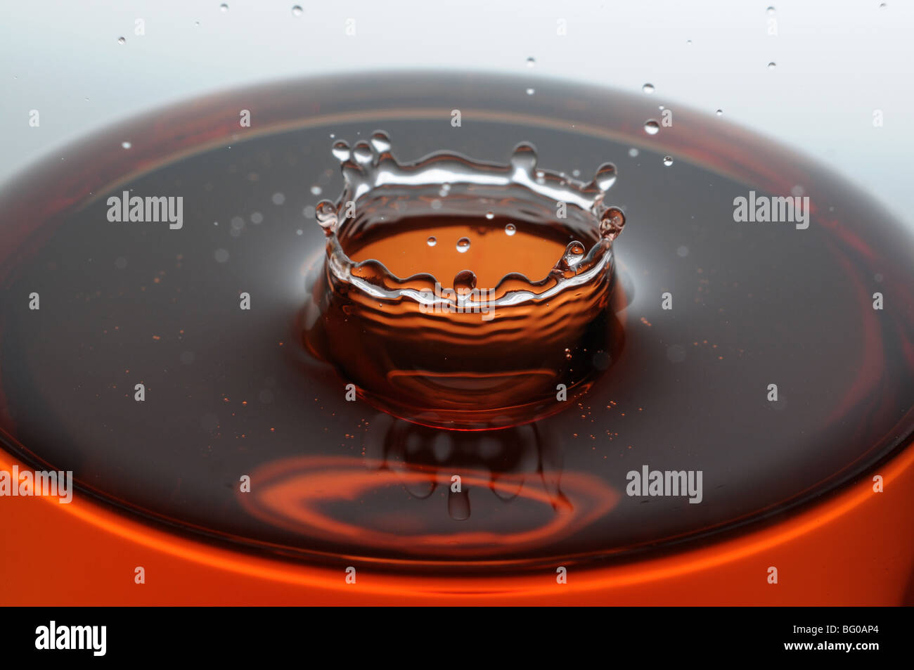 Une goutte d'eau orange formant une couronne comme il éclabousse dans un verre rempli de liquide, rétro-éclairé pour le contraste. Banque D'Images