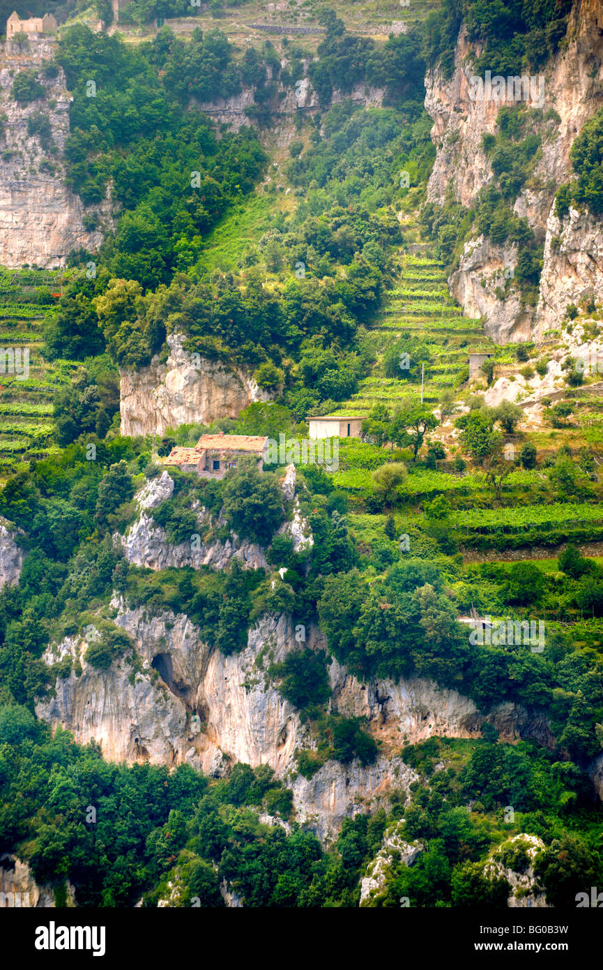 Vignobles d'Amalfi dans les hautes montagnes de la côte amalfitaine portée Banque D'Images