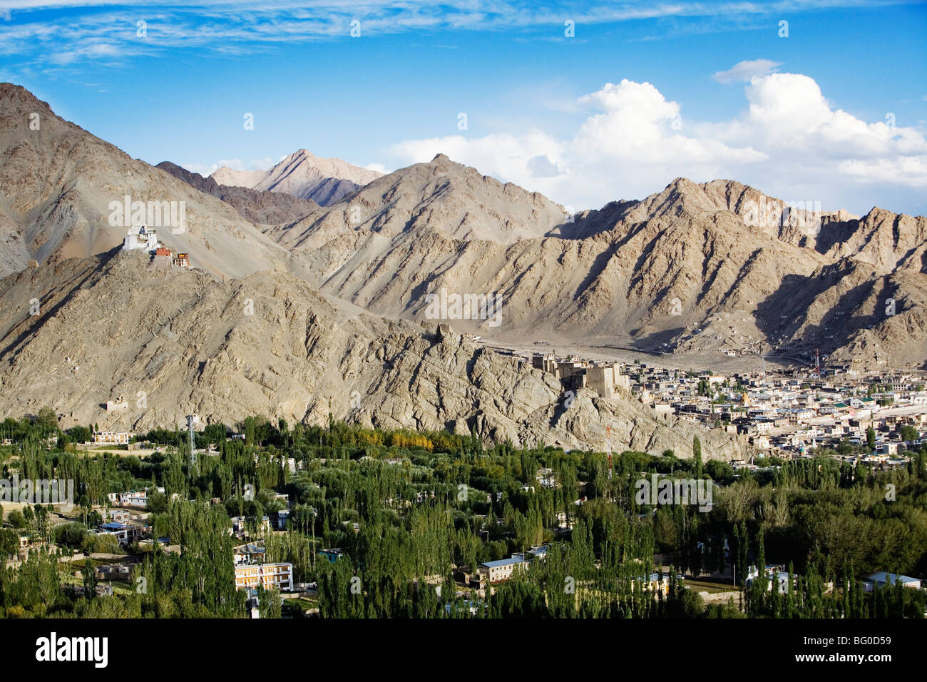 Avis de Namgyal Tsemo Gompa se lever au-dessus de Leh, la capitale du Ladakh, Inde. Banque D'Images